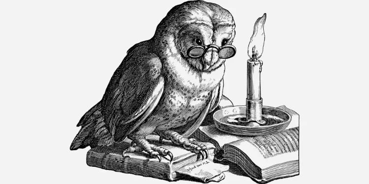 Representação da coruja como símbolo do direito e sabedoria.